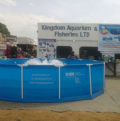 Kingdom Aquarium Office home 3
